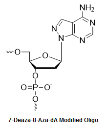 Bio-Synthesis Inc. Oligo Structure